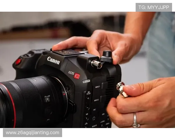 尊龙集团(Z6)在全球市场中的布局与竞争优势探讨 尊龙集团(Z6)在全球市场中的布局与竞争优势探讨