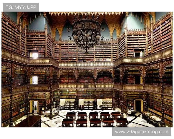 D88尊龙app安全保障措施全面分析，保障用户账号信息与资金安全的实用技巧