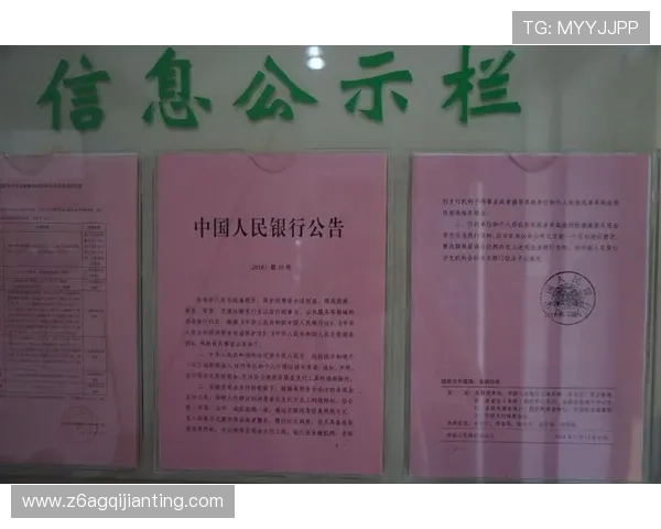 尊龙中国入口官方最新公告，登录入口变更及维护通知及时掌握