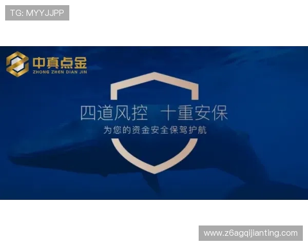 深度解析尊龙现金平台的安全性与用户体验，保障您的资金安全